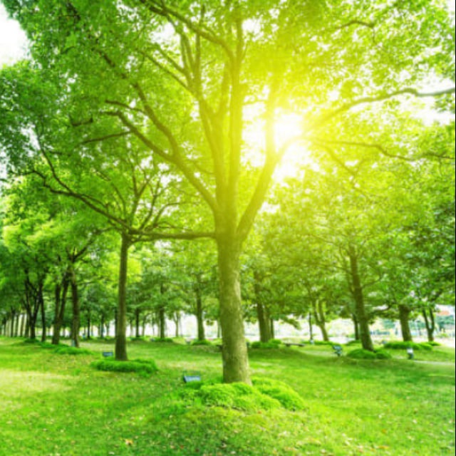 晟阳公司【认准频道里面联系方式】本号没有机器人号大家注意不要被骗